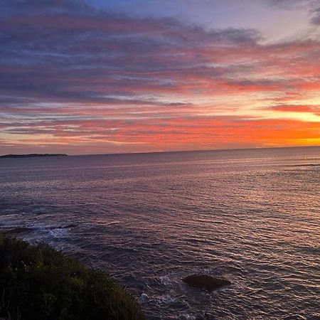 Ocean Front Apartment Cronulla Bagian luar foto