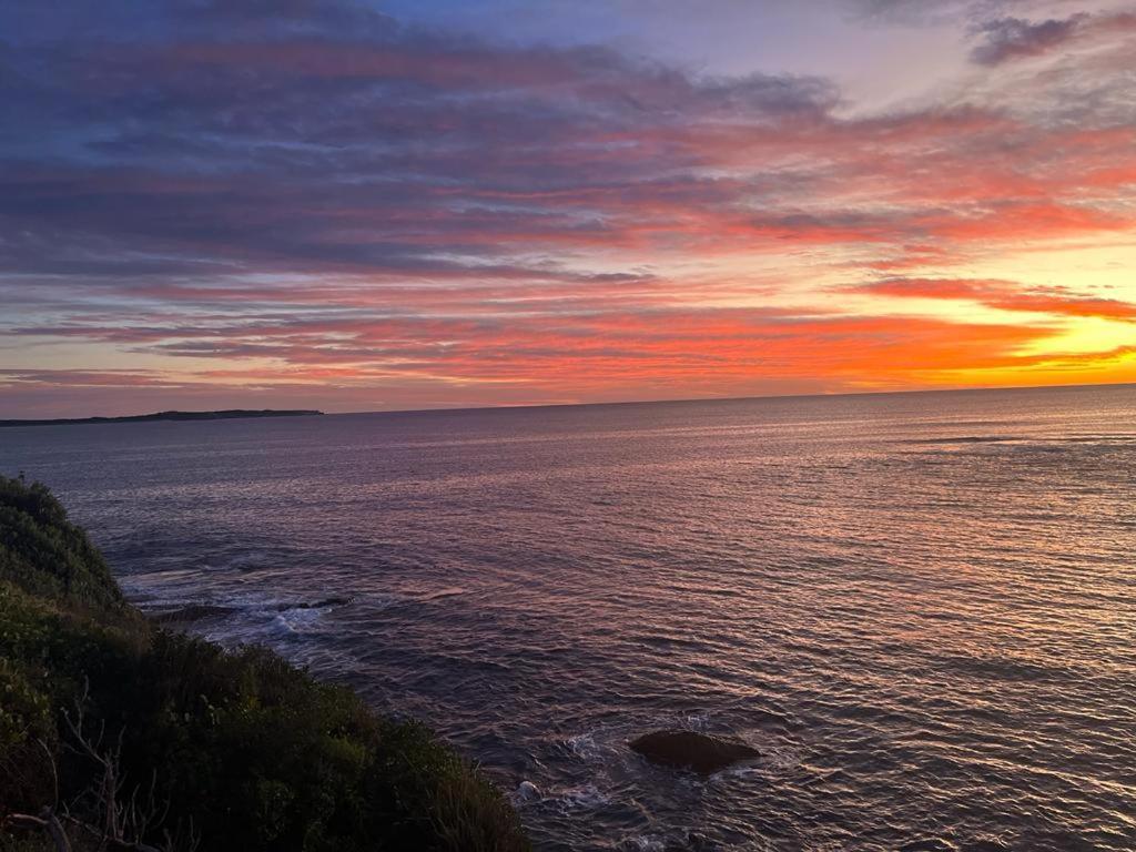 Ocean Front Apartment Cronulla Bagian luar foto